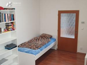 Pronájem bytu 1+1, Brno, Zelný trh, 40 m2