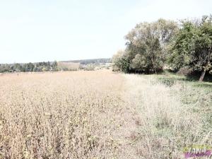 Prodej zemědělské půdy, Dvůr Králové nad Labem, Do Polí, 27614 m2