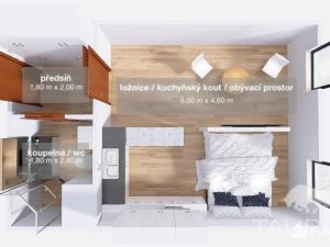 Pronájem bytu 1+kk, Plzeň, Toužimská, 31 m2