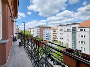 Pronájem bytu 3+kk, Brno, Botanická, 109 m2