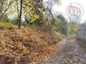 Prodej pozemku pro bydlení, Stříbrná Skalice, osada Spálený, 3768 m2