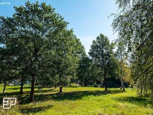 Pronájem pozemku pro komerční výstavbu, Jeníkov, 13072 m2