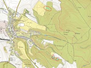 Prodej lesa, Neslovice, 2112 m2