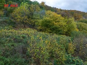 Prodej pozemku pro bydlení, Ústí nad Labem, 2132 m2