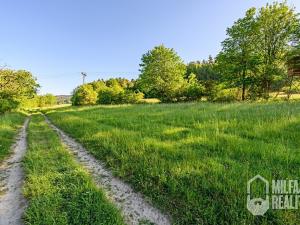 Prodej trvalého travního porostu, Proseč pod Ještědem, 3254 m2