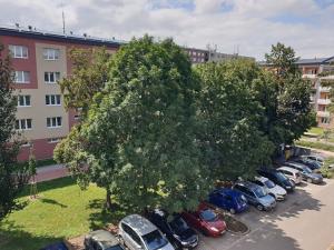 Prodej bytu 2+1, Prostějov, sídl. Svobody, 53 m2