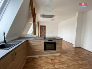 Pronájem bytu 4+kk, Louny, Říční, 106 m2