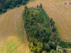 Prodej lesa, Kostelec nad Vltavou - Sobědraž, 13357 m2