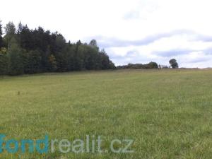 Prodej zemědělské půdy, Tachov, 31760 m2