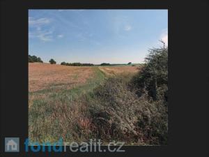 Prodej zemědělské půdy, Čejetice, 10968 m2