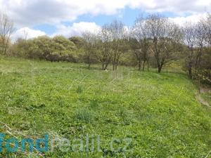 Prodej pozemku, Budišov nad Budišovkou, 11087 m2