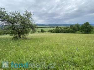 Prodej zemědělské půdy, Všeradice, 7934 m2