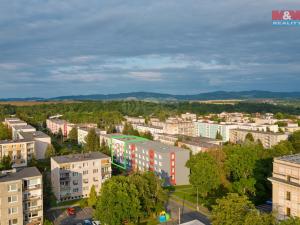 Pronájem bytu 2+1, Domažlice - Týnské Předměstí, Švabinského, 56 m2