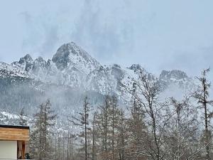 Prodej bytu 1+kk, Vysoké Tatry, Slovensko, 41 m2