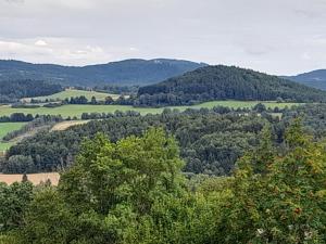 Prodej pozemku pro bydlení, Sušice, 2649 m2