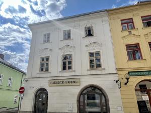 Pronájem obchodního prostoru, Jihlava, Brněnská, 181 m2