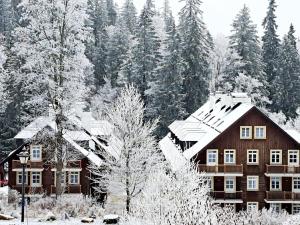 Prodej bytu 3+kk, Karlova Studánka, 84 m2