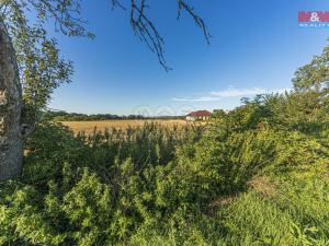 Prodej zemědělské půdy, Chotusice, 1261 m2