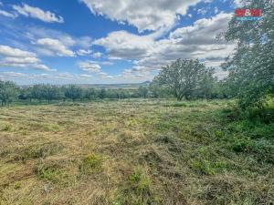 Prodej zahrady, Třebenice, 3500 m2