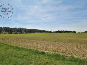 Prodej zemědělské půdy, Hamry nad Sázavou, 8947 m2