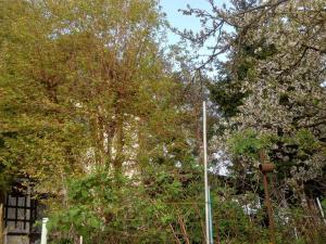 Prodej chaty, Charvatce, 49 m2