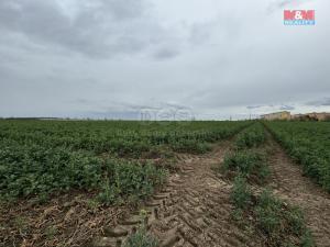 Prodej pozemku pro bydlení, Chomutov, Zadní Vinohrady, 1100 m2