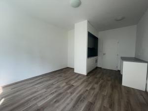 Pronájem bytu 1+kk, Plzeň - Východní Předměstí, Papírnická, 28 m2