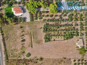 Prodej pozemku, Δημοτική Ενότητα Ερμιόνης, Řecko, 3600 m2