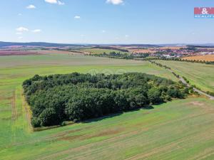 Prodej zemědělské půdy, Plzeň - Litice, 4733 m2