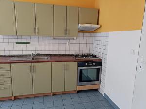 Pronájem bytu 2+1, Teplice, Štúrova, 55 m2