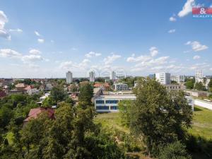 Pronájem bytu 3+1, Hradec Králové - Slezské Předměstí, Polní, 55 m2