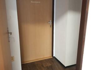 Pronájem bytu 1+kk, Hranice, 30 m2