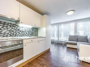 Prodej bytu 1+kk, Šternberk, Labutí, 31 m2