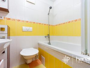 Prodej bytu 1+kk, Šternberk, Labutí, 31 m2