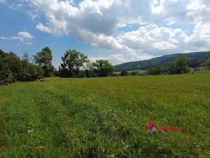 Prodej zemědělské půdy, Bílá Voda, 21071 m2