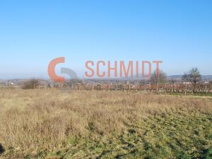 Prodej sadu/vinice, Drnholec, 12181 m2