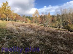 Prodej trvalého travního porostu, Bedřichov, 7974 m2