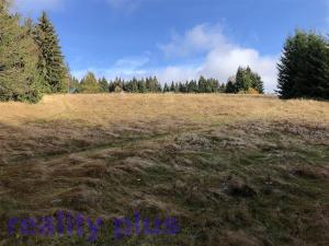 Prodej trvalého travního porostu, Bedřichov, 6251 m2