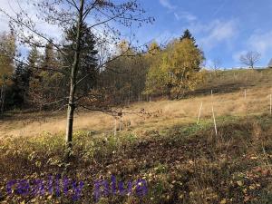 Prodej trvalého travního porostu, Bedřichov, 3747 m2