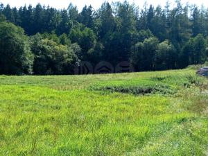 Prodej trvalého travního porostu, Chyňava, 11196 m2