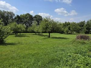 Prodej rodinného domu, Bačice, 160 m2