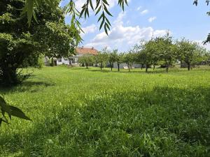 Prodej rodinného domu, Bačice, 160 m2