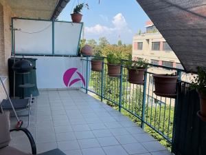 Pronájem bytu 1+kk, Olomouc, Wellnerova, 55 m2