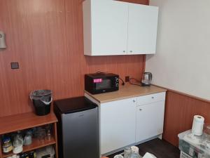 Pronájem bytu 1+kk, Brno, Heršpická, 24 m2