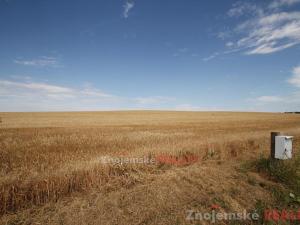 Prodej zemědělské půdy, Blanné, 24000 m2