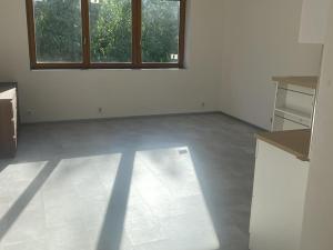 Pronájem bytu 1+kk, Dolní Břežany, 28 m2