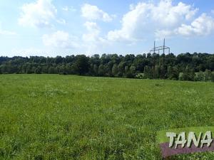 Prodej trvalého travního porostu, Hodkovice nad Mohelkou, 49051 m2