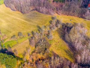 Prodej trvalého travního porostu, Žandov - Radeč, 3251 m2