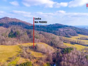 Prodej trvalého travního porostu, Žandov - Radeč, 3251 m2