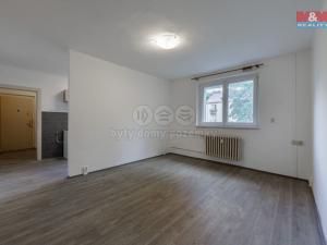 Pronájem bytu 1+1, Ostrov, Lidická, 36 m2